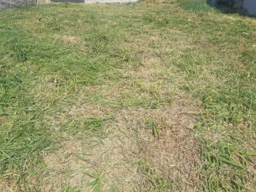 Terreno à Venda